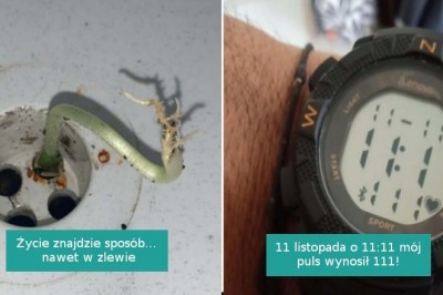 18 fotografii pokazujących, że otacza nas pełno niespodzianek