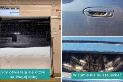17 osób, które pechowo znalazły się w bardzo niefortunnych sytuacjach