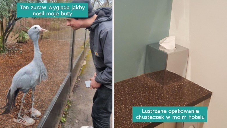 15 zdjęć, którym trzeba się dokładnie przyjrzeć, by je zrozumieć
