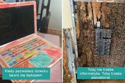 Informatycy i serwisanci dzielą się najgorszymi przypadkami, jakie napotkali w pracy