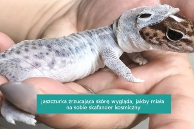 14 fotografii, które pokazują, że na świecie wciąż kryje się wiele niespodzianek
