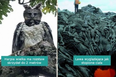 18 intrygujących i niepokojących fotografii, którymi podzielili się internauci