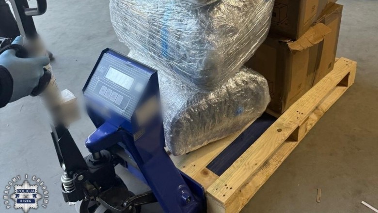 Szok podczas rozładunku w firmie. W kartonach była marihuana za 2,5 mln zł zamiast części do produkcji