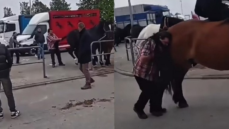 Koń znokautował skandalicznie zachowującego się pijanego mężczyznę na targach w Pajęcznie
