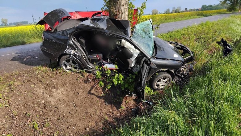 19-letnia kierująca Seatem straciła panowanie na łuku drogi i uderzyła w drzewo. Zginęła na miejscu